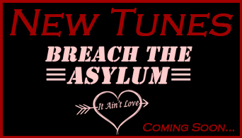Breach the Asylum